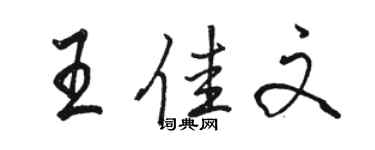 骆恒光王佳文行书个性签名怎么写