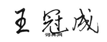 骆恒光王冠成行书个性签名怎么写