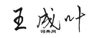 骆恒光王成叶行书个性签名怎么写