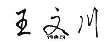 骆恒光王文川行书个性签名怎么写