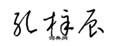 梁锦英孔梓辰草书个性签名怎么写