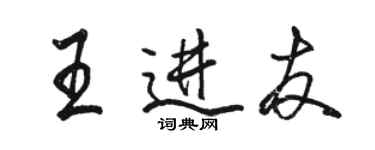 骆恒光王进友行书个性签名怎么写