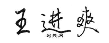 骆恒光王进爽行书个性签名怎么写