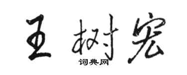 骆恒光王树宏行书个性签名怎么写