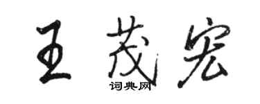 骆恒光王茂宏行书个性签名怎么写
