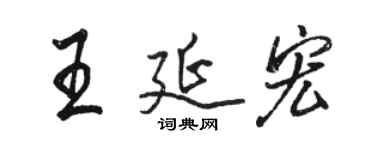 骆恒光王延宏行书个性签名怎么写