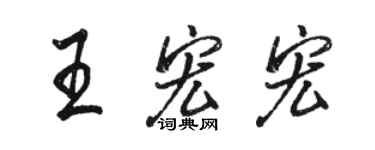 骆恒光王宏宏行书个性签名怎么写