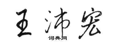 骆恒光王沛宏行书个性签名怎么写