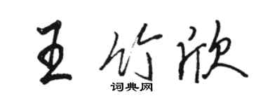 骆恒光王竹欣行书个性签名怎么写