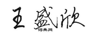 骆恒光王盛欣行书个性签名怎么写