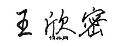 骆恒光王欣密行书个性签名怎么写