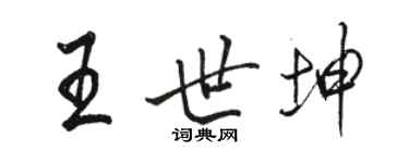 骆恒光王世坤行书个性签名怎么写