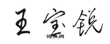 骆恒光王宝锐行书个性签名怎么写