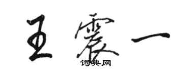 骆恒光王震一行书个性签名怎么写