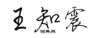 骆恒光王知震行书个性签名怎么写