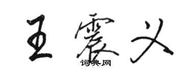 骆恒光王震义行书个性签名怎么写