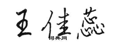 骆恒光王佳蕊行书个性签名怎么写