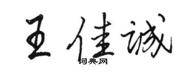 骆恒光王佳诚行书个性签名怎么写
