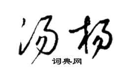 梁锦英汤杨草书个性签名怎么写