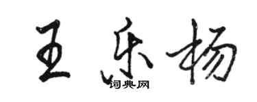 骆恒光王乐杨行书个性签名怎么写