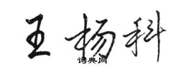 骆恒光王杨科行书个性签名怎么写