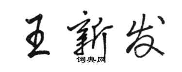 骆恒光王新发行书个性签名怎么写
