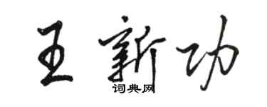 骆恒光王新功行书个性签名怎么写