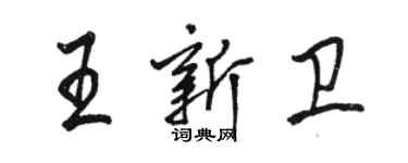 骆恒光王新卫行书个性签名怎么写