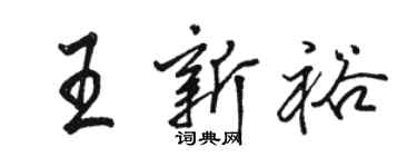 骆恒光王新裕行书个性签名怎么写
