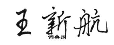 骆恒光王新航行书个性签名怎么写