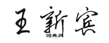 骆恒光王新宾行书个性签名怎么写