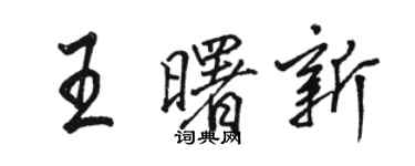 骆恒光王曙新行书个性签名怎么写