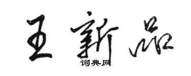 骆恒光王新品行书个性签名怎么写