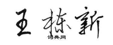 骆恒光王栋新行书个性签名怎么写