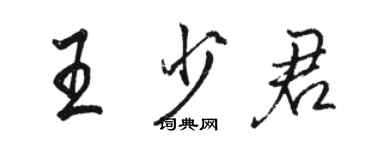 骆恒光王少君行书个性签名怎么写