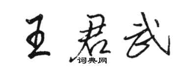 骆恒光王君武行书个性签名怎么写