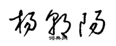 梁锦英杨朝阳草书个性签名怎么写