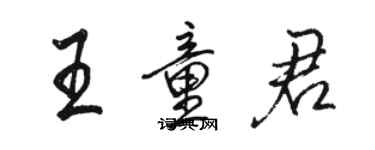 骆恒光王童君行书个性签名怎么写