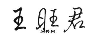 骆恒光王旺君行书个性签名怎么写