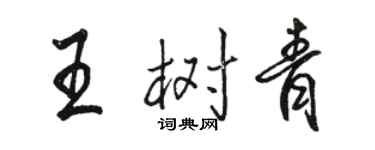 骆恒光王树青行书个性签名怎么写