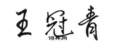 骆恒光王冠青行书个性签名怎么写