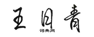 骆恒光王日青行书个性签名怎么写