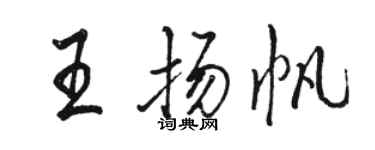 骆恒光王扬帆行书个性签名怎么写