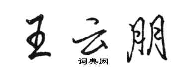 骆恒光王云朋行书个性签名怎么写