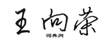 骆恒光王向荣行书个性签名怎么写