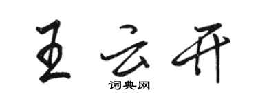 骆恒光王云开行书个性签名怎么写