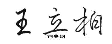 骆恒光王立柏行书个性签名怎么写