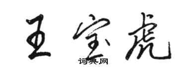 骆恒光王宝虎行书个性签名怎么写