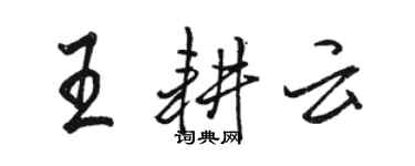 骆恒光王耕云行书个性签名怎么写