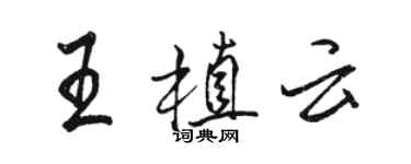 骆恒光王植云行书个性签名怎么写